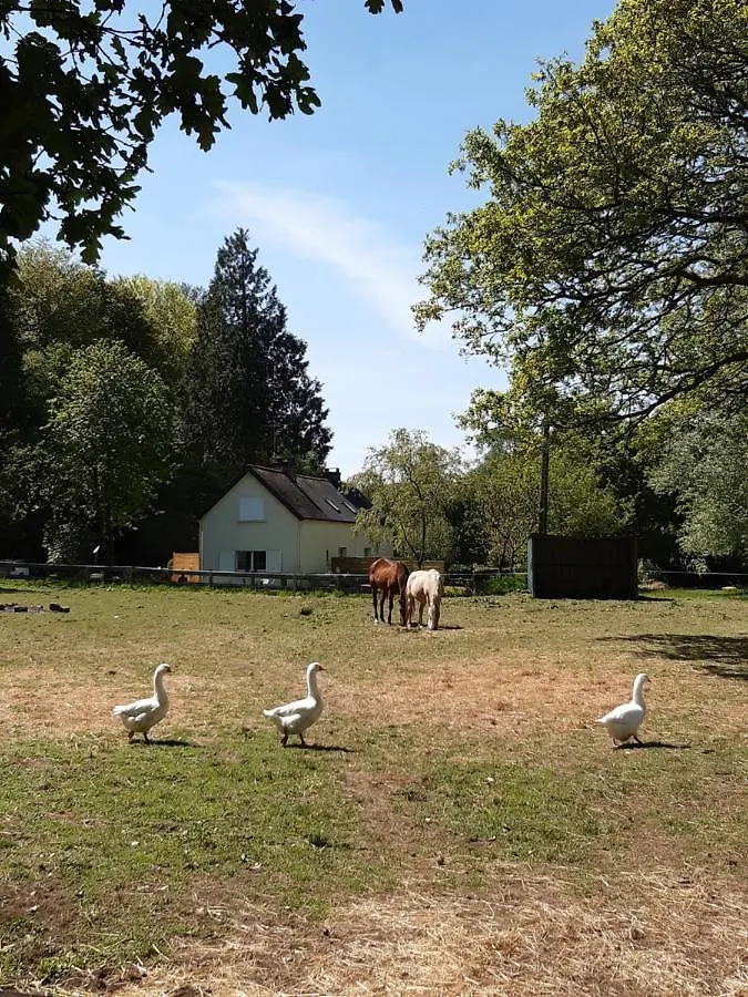Appartement En Lisiere De Foret Avec Etang Scaer